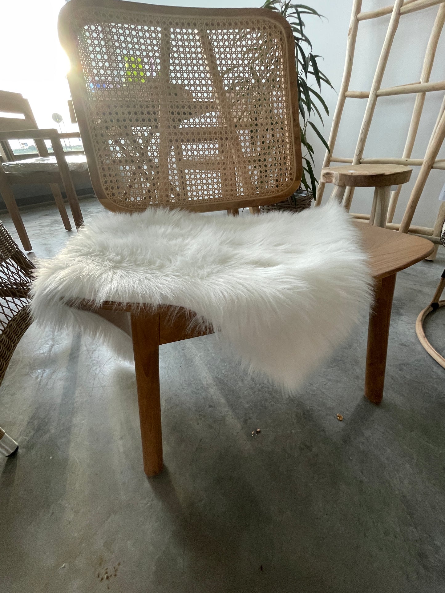 DIVA Armchair in teak