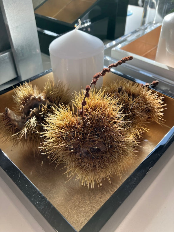 Kvadratisk lack serveringsbricka Svart & guld