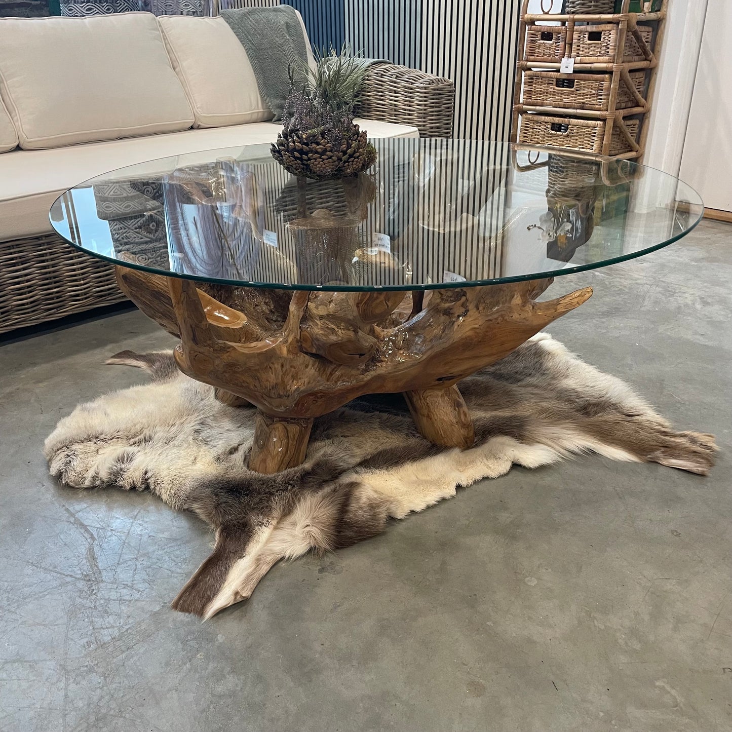 Teak Root sofabord med glasplade Ø110 cm | Unikt naturtræ