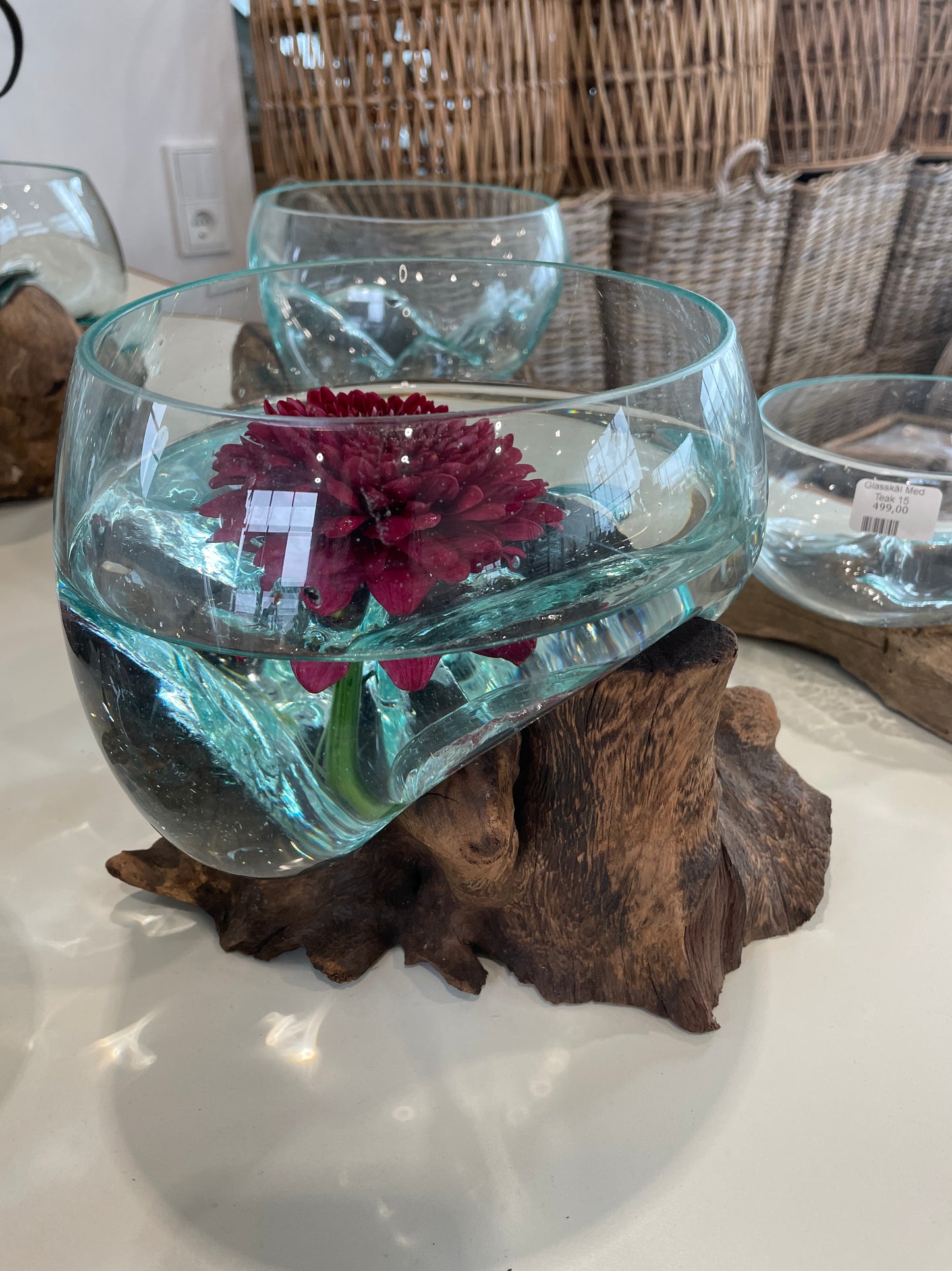 Glasskål med teaktræ