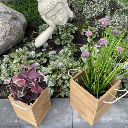 Maui Teak Plantekasser Sæt med 2