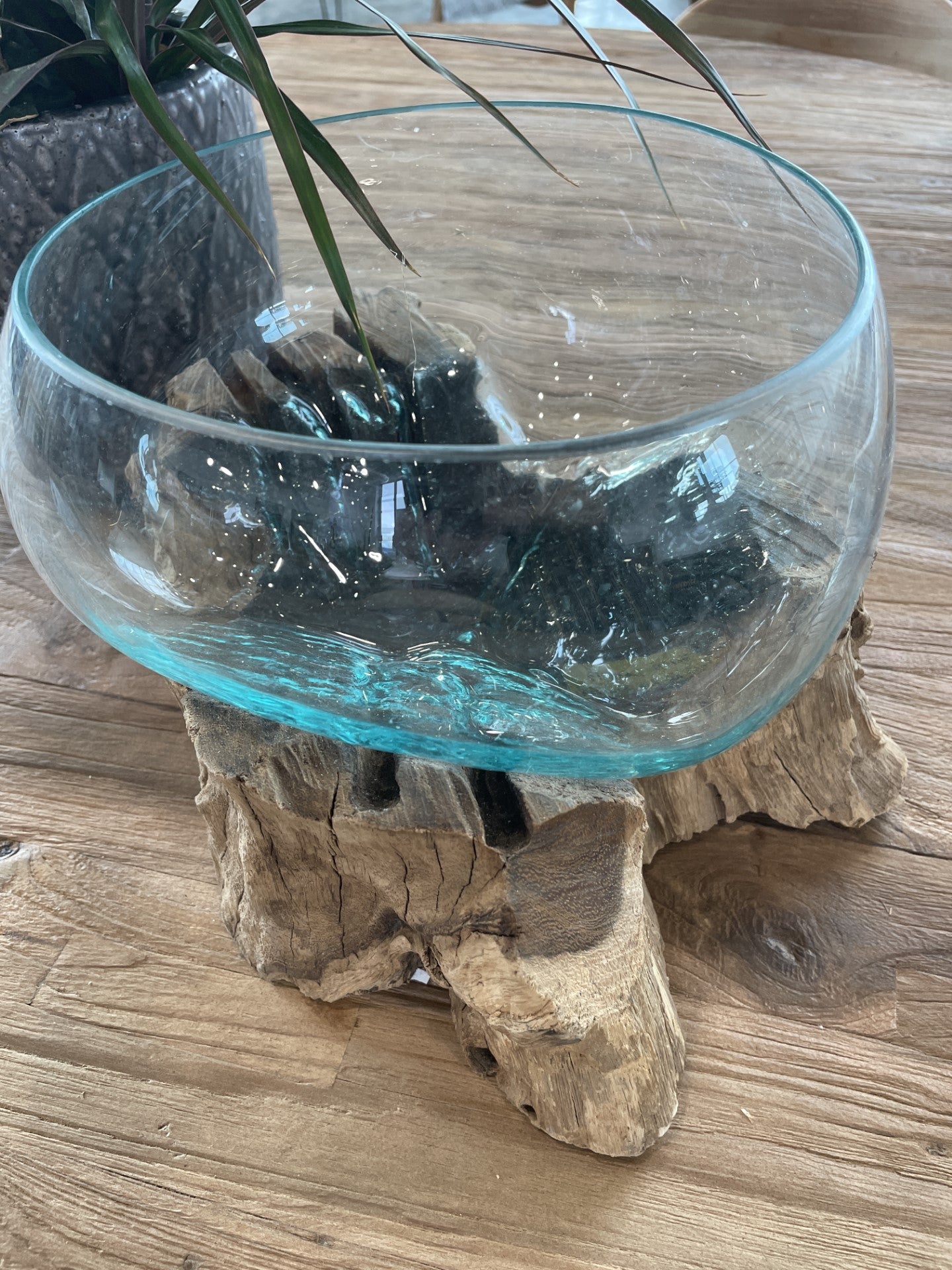 Glasskål med teaktræ