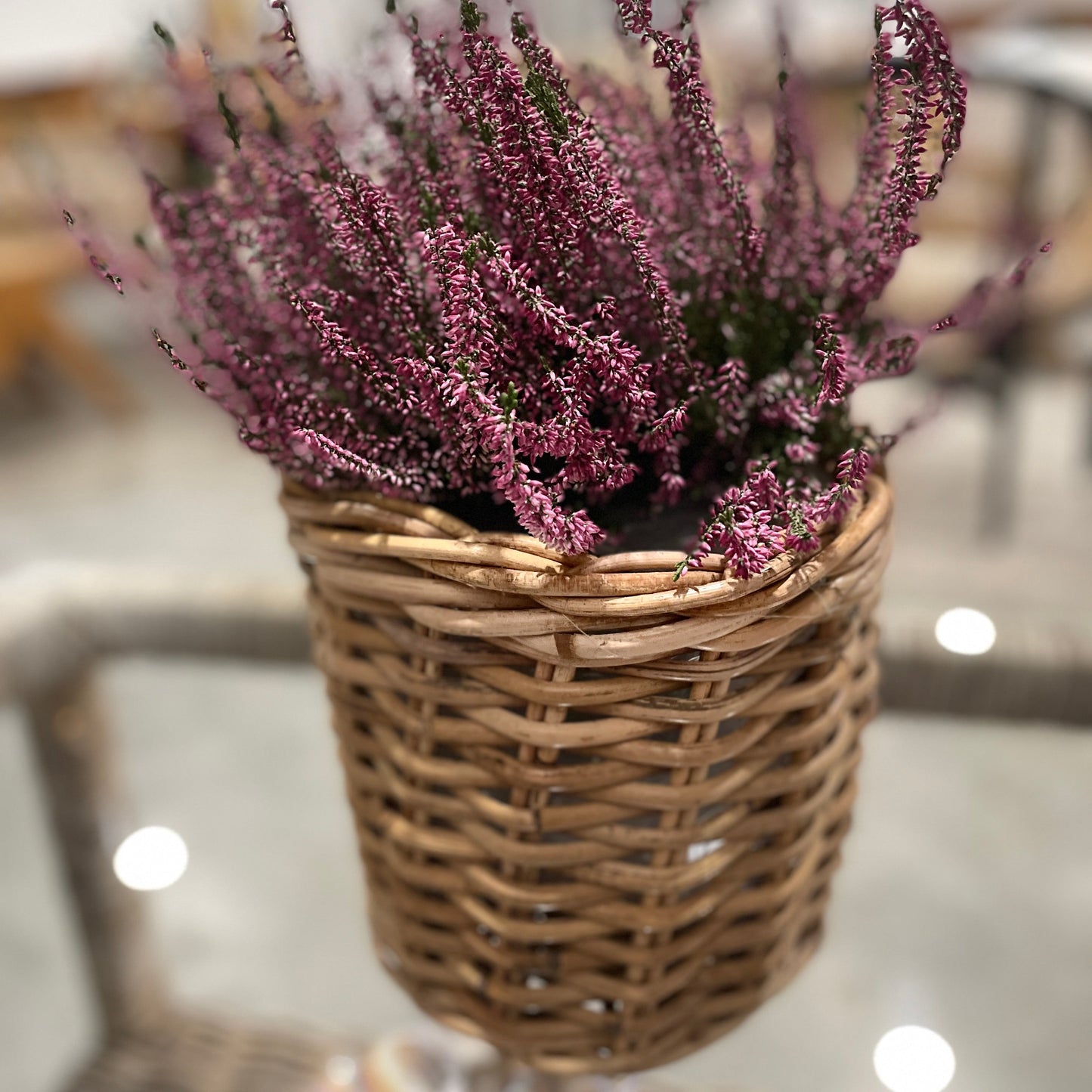 KORG CASA ROTTING KUBU NATUR Ø27/22 2ST/SET