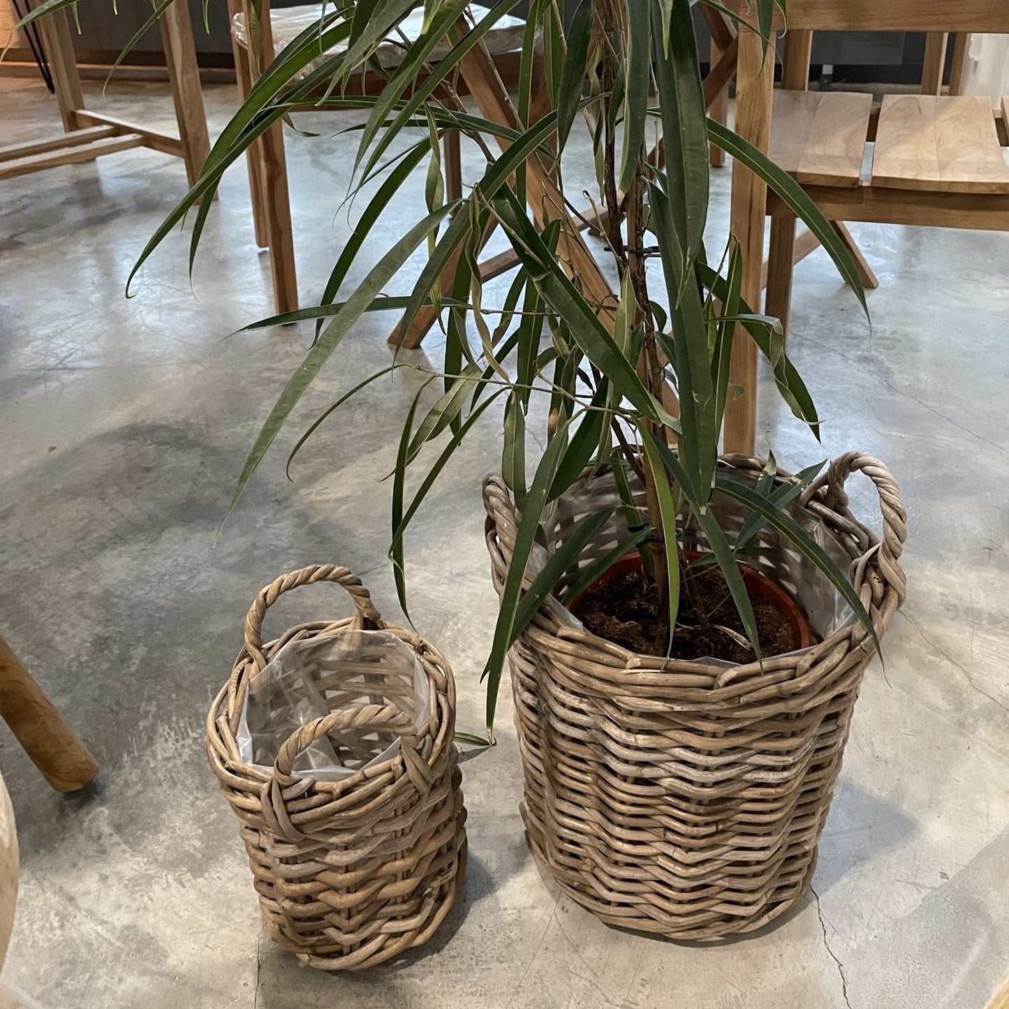 KORG ATHENA ROTTING KUBU NATUR Ø30/20 2ST/SET