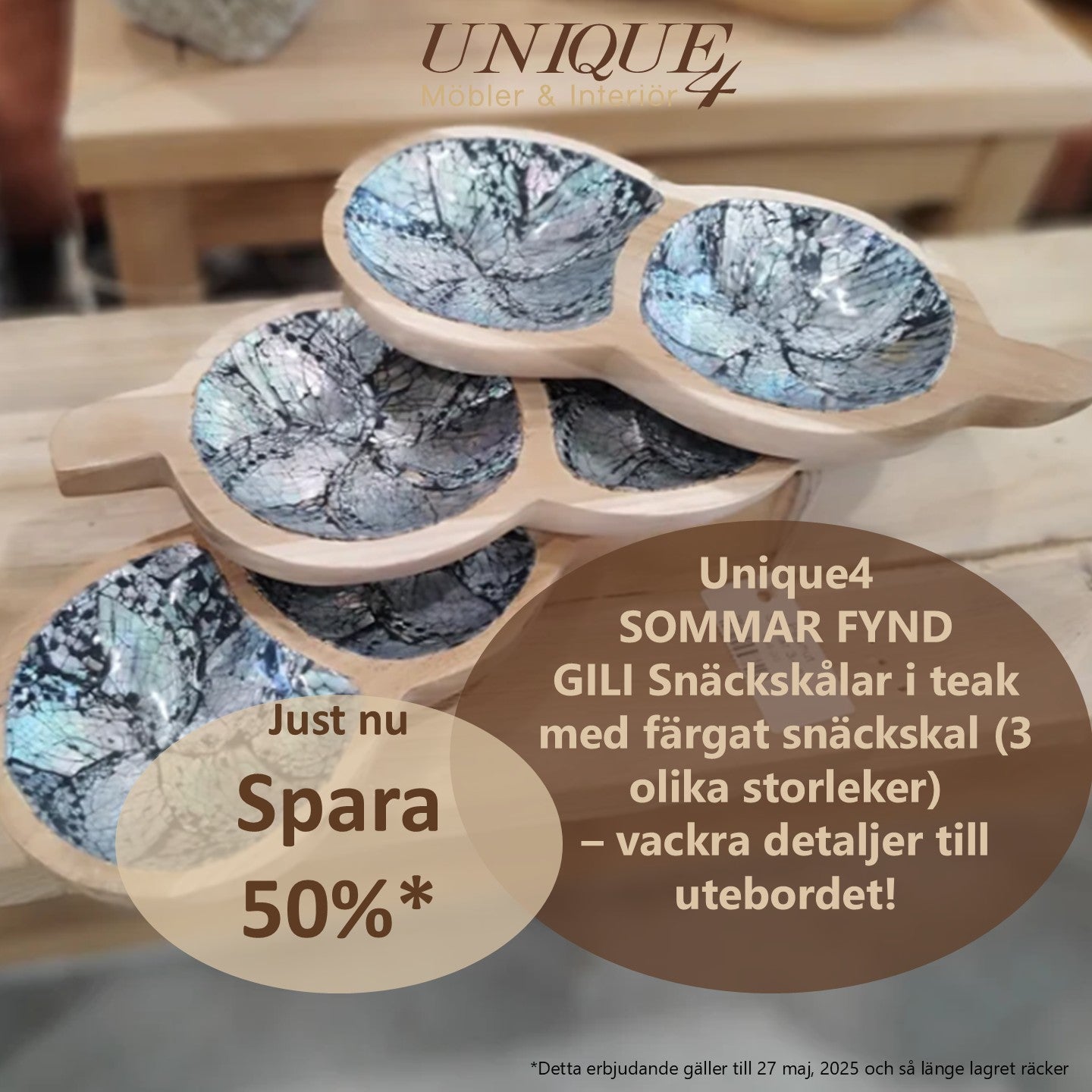 GILI SEASHELL