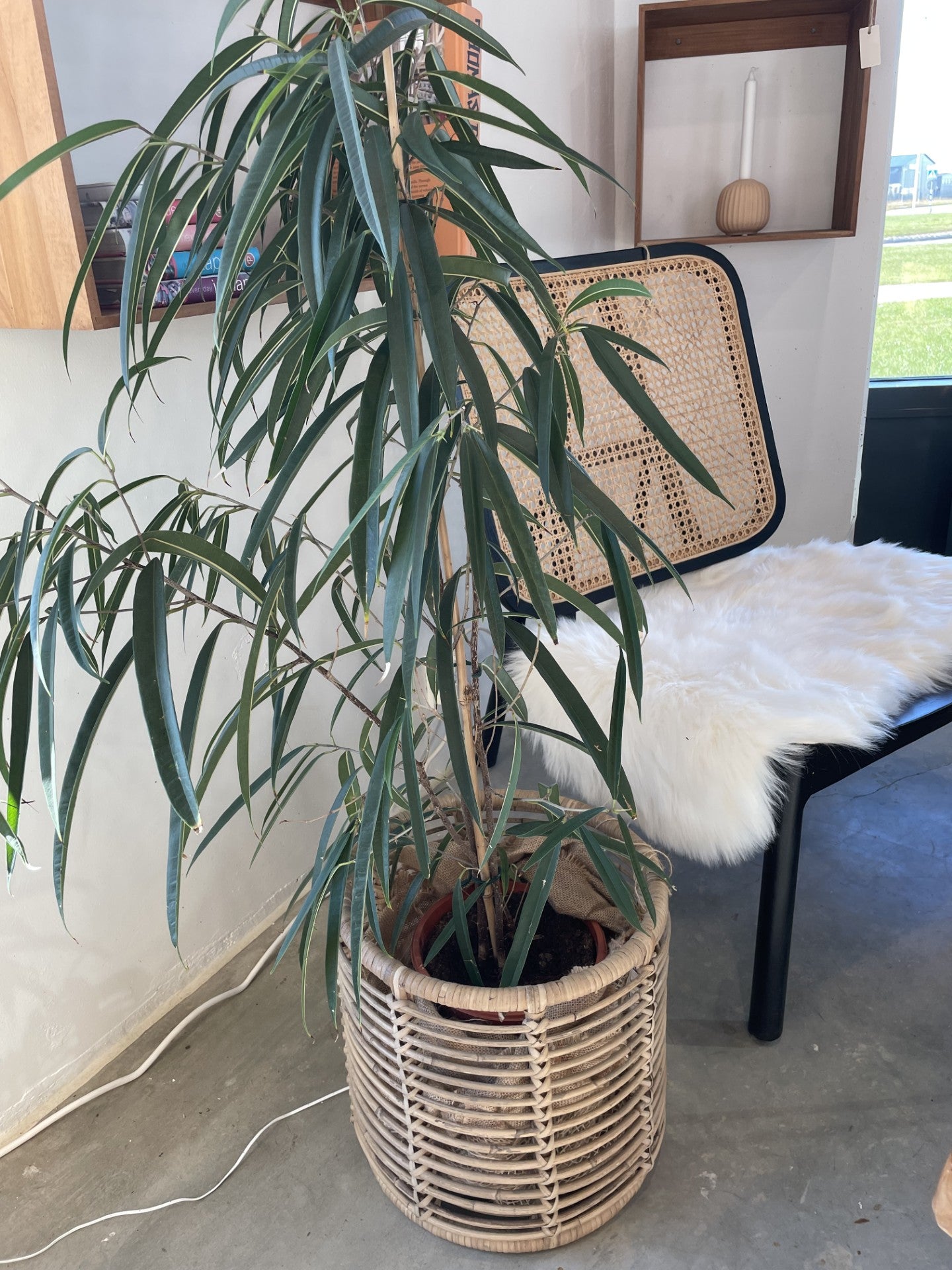 KURV KEENE RATTAN TERNING NATURLIG Ø51/41/33 3STK
