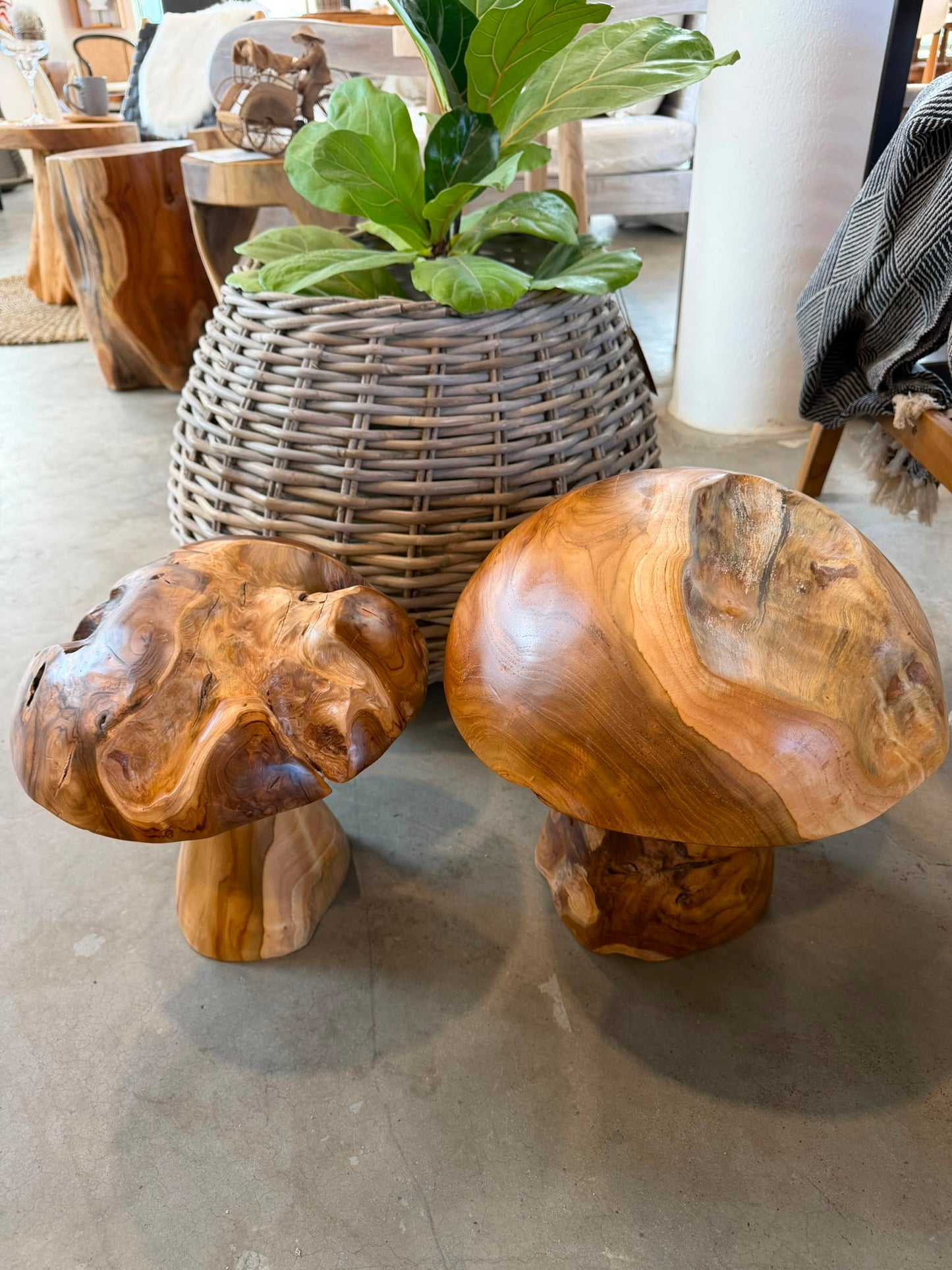 Jamur Dekorationssvampar i Teak – Handgjord Inredning