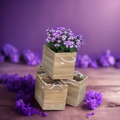 Maui Teak Planters Set 2