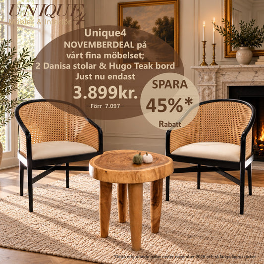 2 DANISA Armstolar + 1 HUGO Sidobord – Ett oslagbart novembererbjudande!